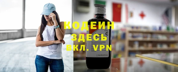 хмурый Магас