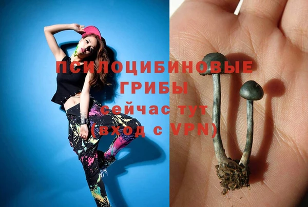 спиды Алзамай