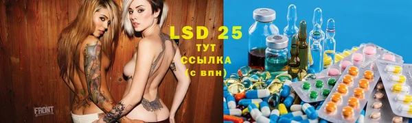 спиды Алзамай