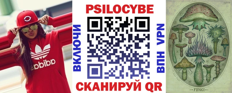 Псилоцибиновые грибы Psilocybe  сколько стоит  Павлово 