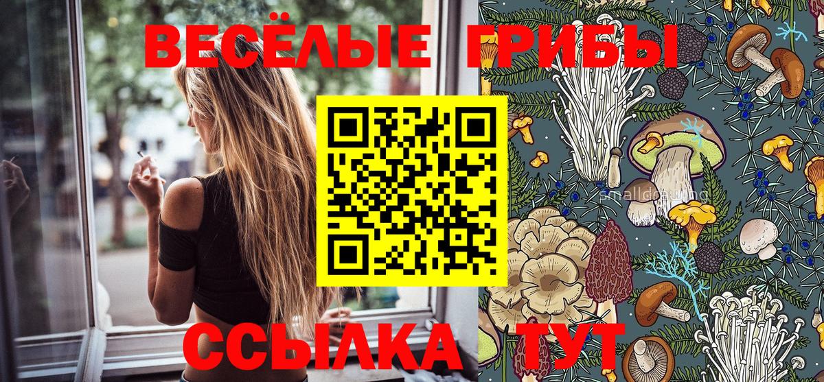 Галлюциногенные грибы Magic Shrooms Павлово